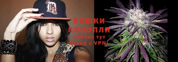 первитин Бородино