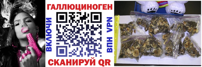 Галлюциногенные грибы Cubensis  МЕГА ССЫЛКА  Сосногорск 